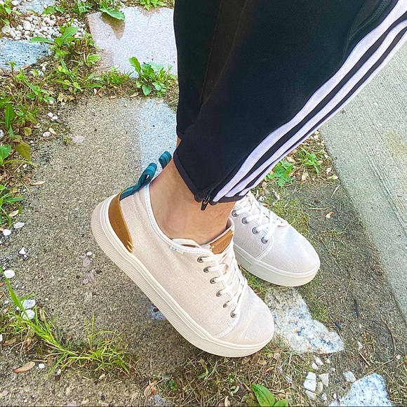 birch canvas alex sneaker